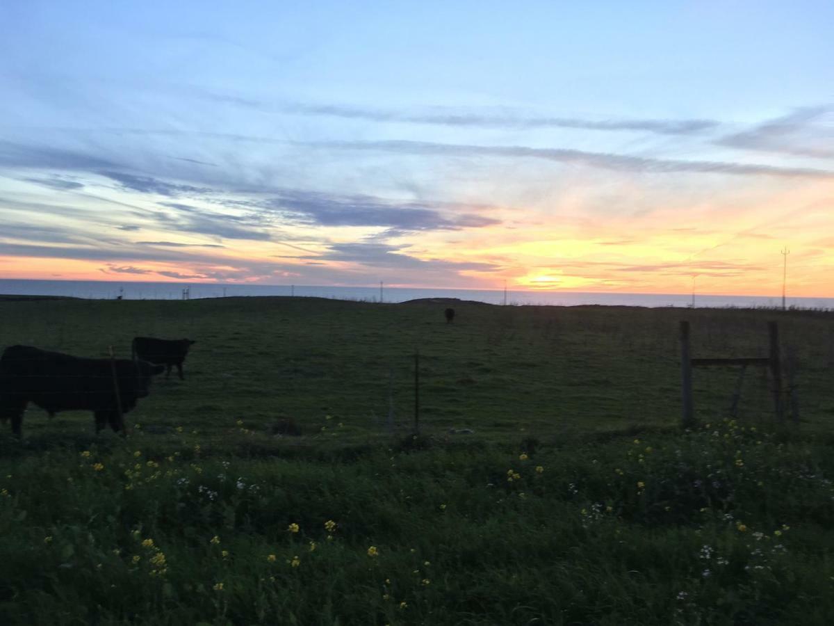 Pescadero Creek Inn Экстерьер фото