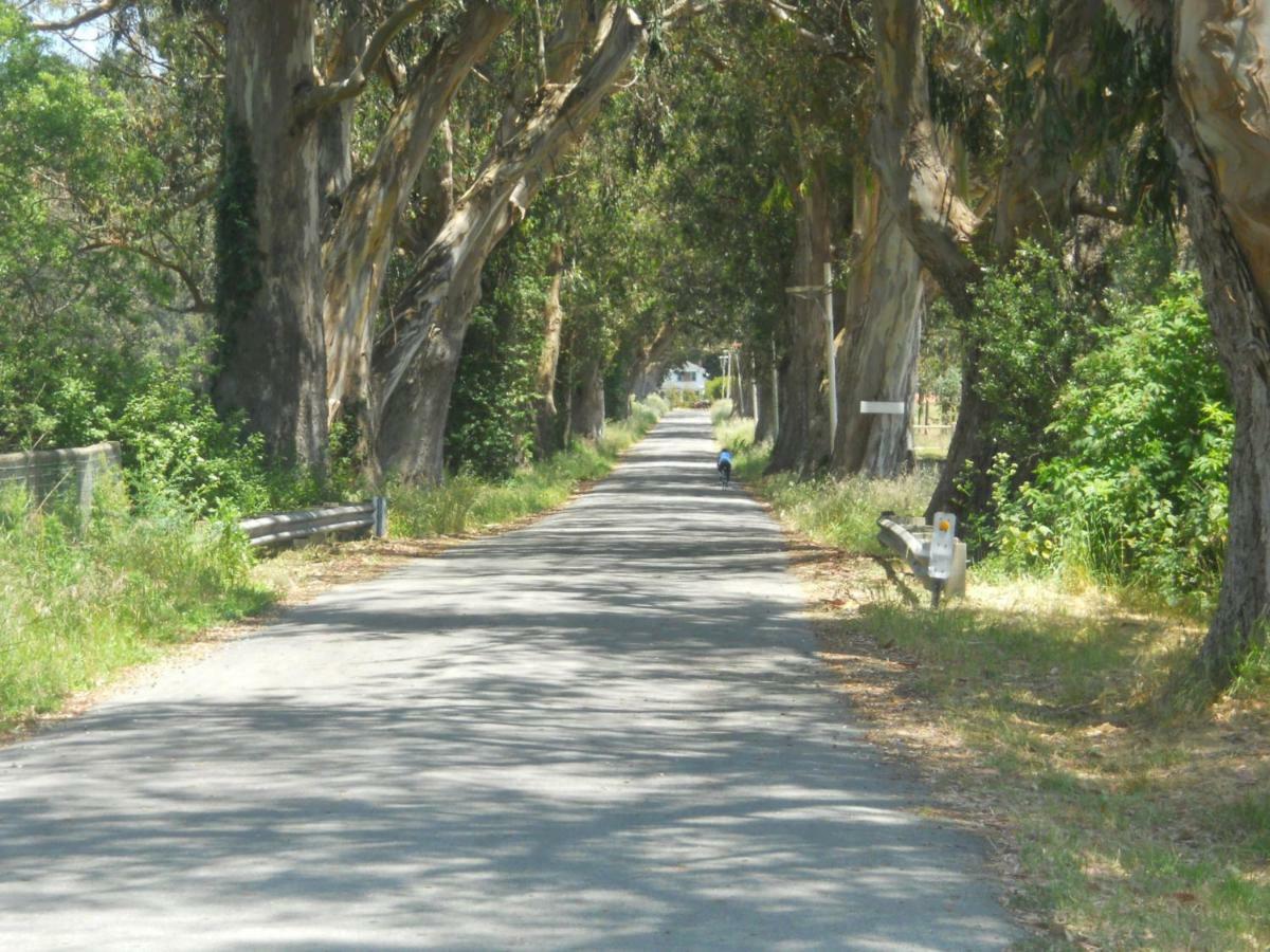 Pescadero Creek Inn Экстерьер фото